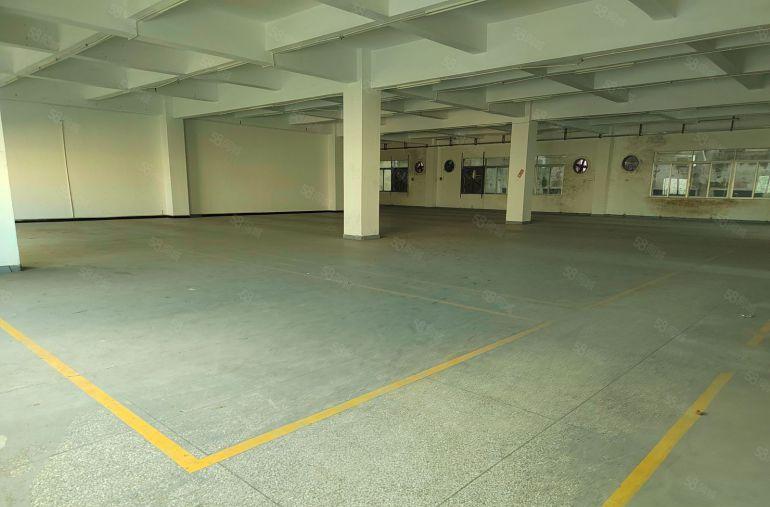 温塘厂房出租  每层1350平方 1到3层   8元起租