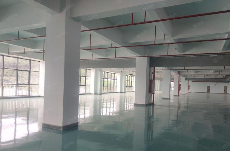 石碣2000平方原房东红本厂房出租500平方起分租可办环评