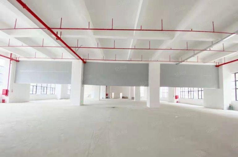 虎门大宁新出全新重工业厂房44000平方大小可以分租低价出租