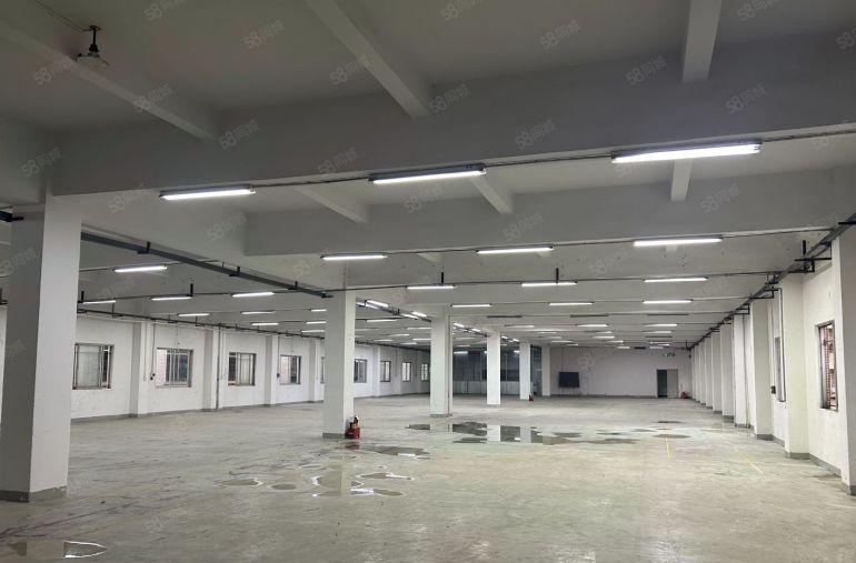 虎门厂房出租独院原房东可办环评位置好招工五金电子行业很好使用