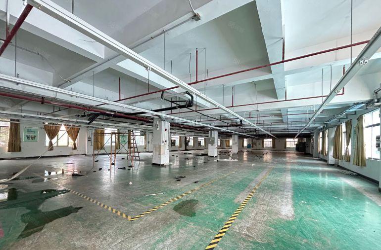 虎门独院厂房出租带现成水电装修空地可进出大车 实际面积出租