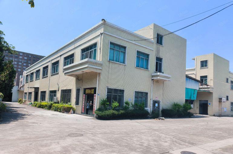 虎门镇大宁社区独院实用600平低价厂房出租，无公摊