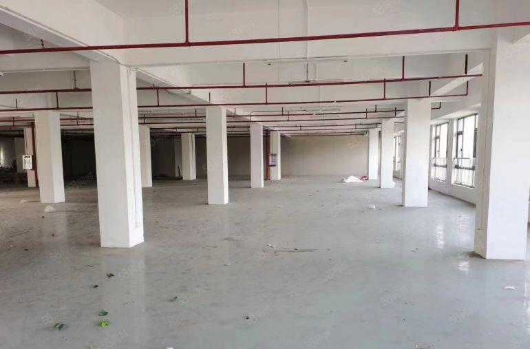 虎门推出独院厂房1500平，空地大，交通好！