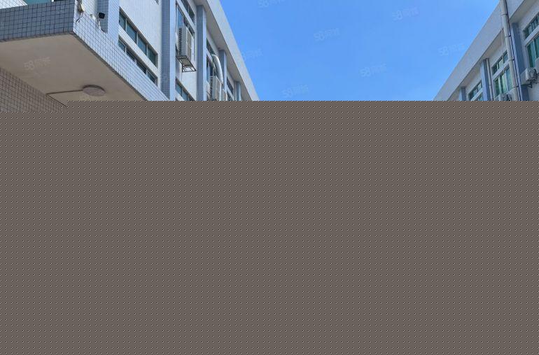 原房东独门独院实际面积出租带有无尘车间