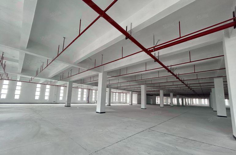 虎门红本厂房带消防喷淋20000方整租可分一租楼8米楼上6米