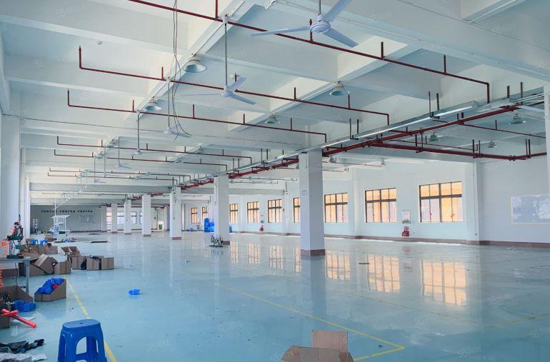 虎门黄河6000平豪华精装修 水电齐全 特价出租厂房