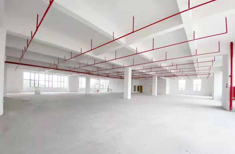 虎门大宁新出全新重工业厂房44000平方大小可以分租低价出租