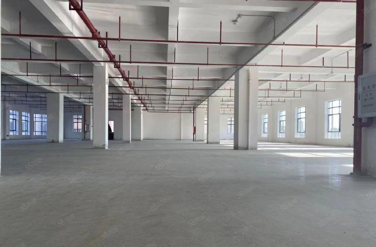 虎门推出独院厂房1500平，空地大，交通好！