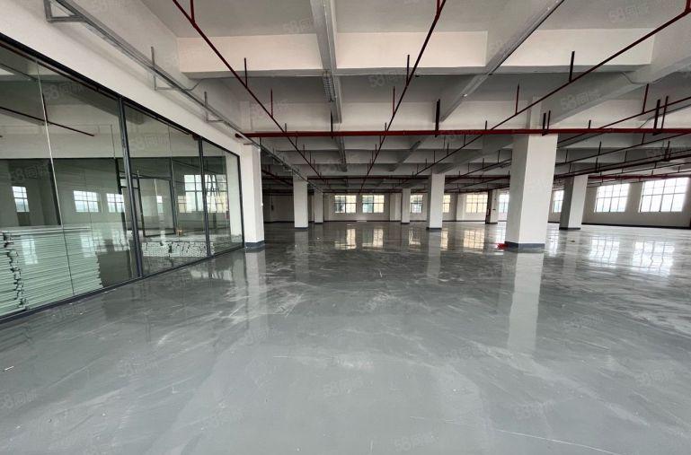 长安沙头精装修1500平厂房出租 模具 五金 可分租 高速