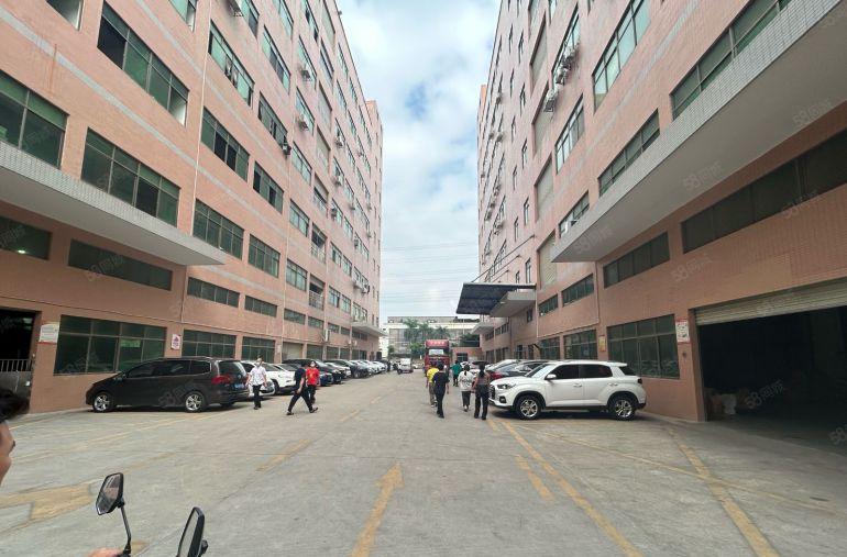 沿江高速附近新空楼上1300平方豪华装修厂房招租