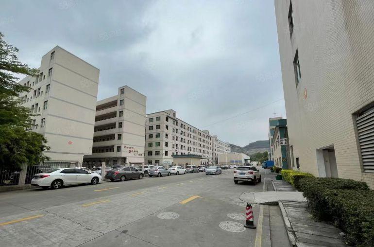 电子烟厂房,长安镇厦边社区3楼实际面积700平带无尘车间，