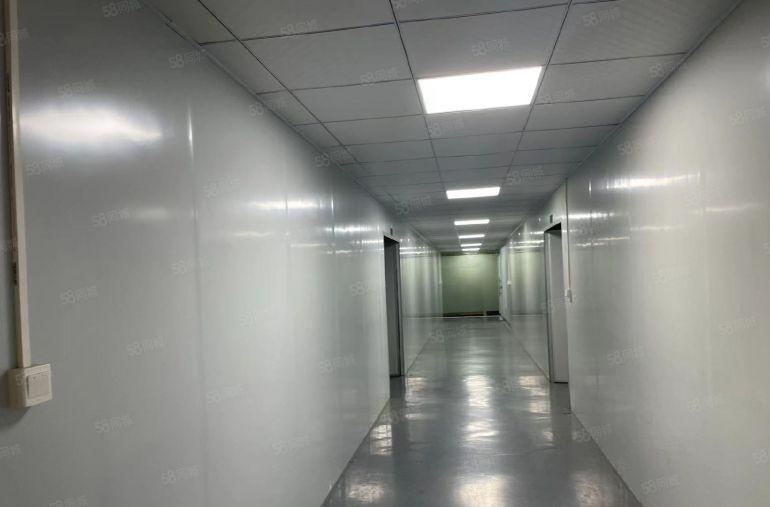 长安镇宵边新出楼上原房东608平精装修形象好水电齐全厂房出租