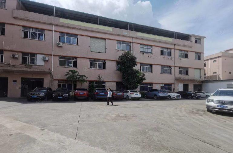 常平土塘小独院厂房分租标准一楼800平带装修低价便宜图片真实