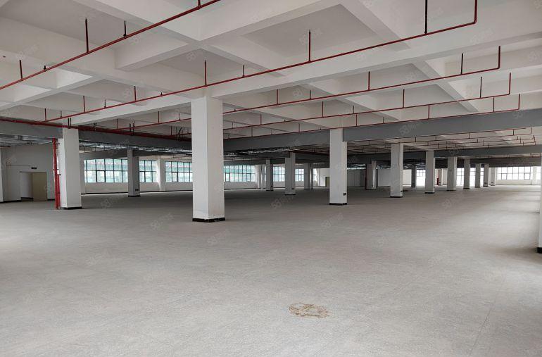 常平新出原房东独院8000平低价厂户出租可分租