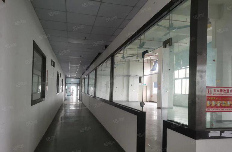 年前超低价楼上厂房出租常平上坑精装修办公室一层1000平便宜