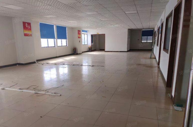 常平新出原房东厂房带地坪漆可办环评大车可掉头