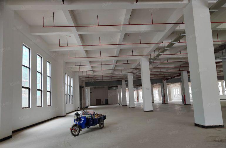 常平新出原房东独院8000平低价厂户出租可分租