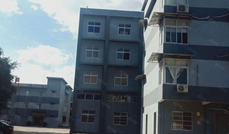 工业园5米高一楼500平方直租