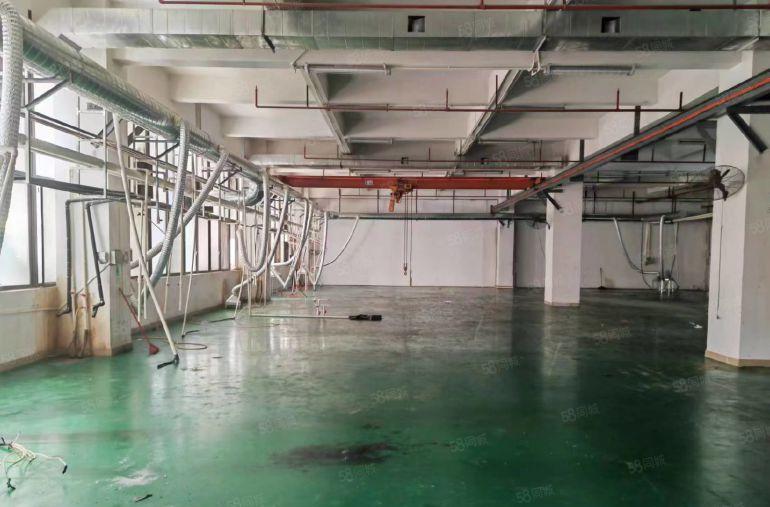 常平土塘重工业工业园厂房分租楼上1200平方层高4.5米含税