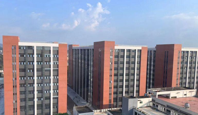 常平新建一手全新标准原房东厂房