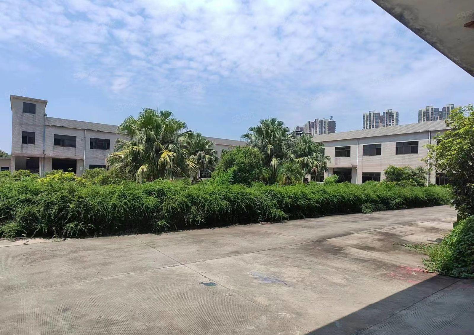 常平靠横沥原房东个人标准独门独院2层低价厂房出租12000平