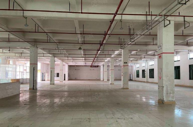 10元常平桥沥花园式红本独院厂房10800平（宿舍按需