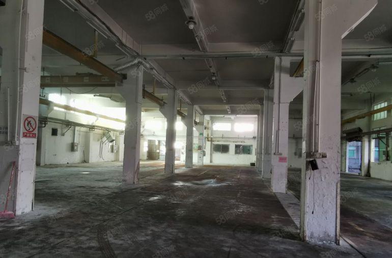 常平原房东独门独院厂房12层3000平米，现成办公室装修。