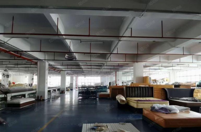 急租独院原房东厚街镇新出8000平米现成装修环评厂房仓库出租