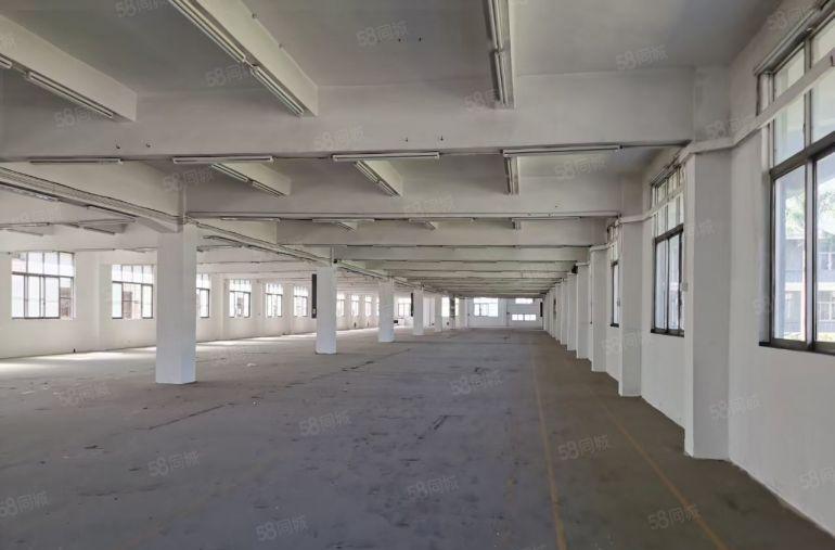 （原房东独院5000平）6米高空地大形象好水电费自己交