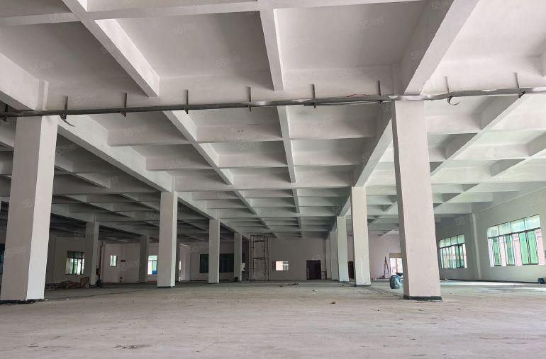 厚街莞太路旁全新一楼2000平标准厂房出租 带红本带消防喷淋