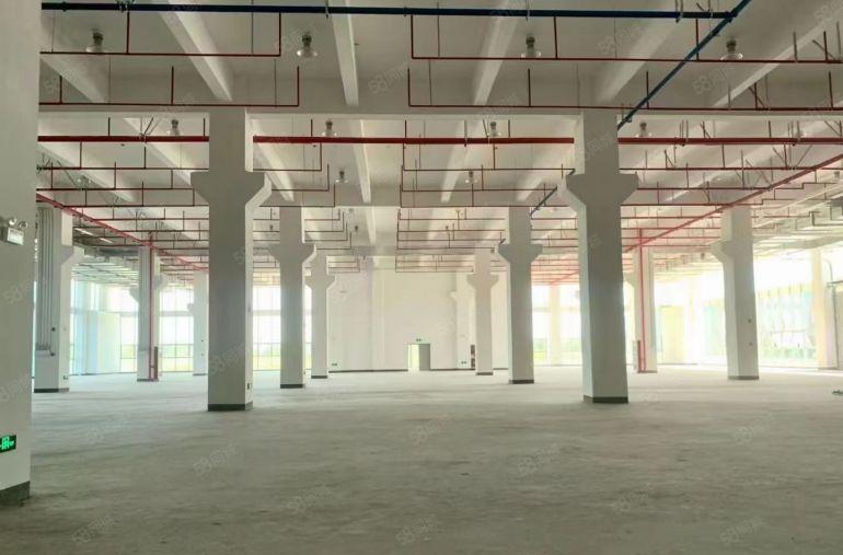 厚街开发商实际面积15块含税含管理费，厂房免租6个月