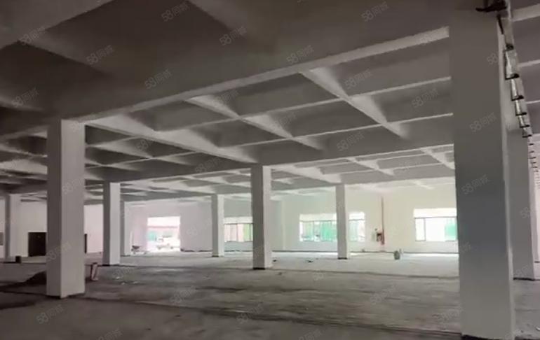 厚街莞太路旁全新一楼2000平标准厂房出租 带红本带消防喷淋