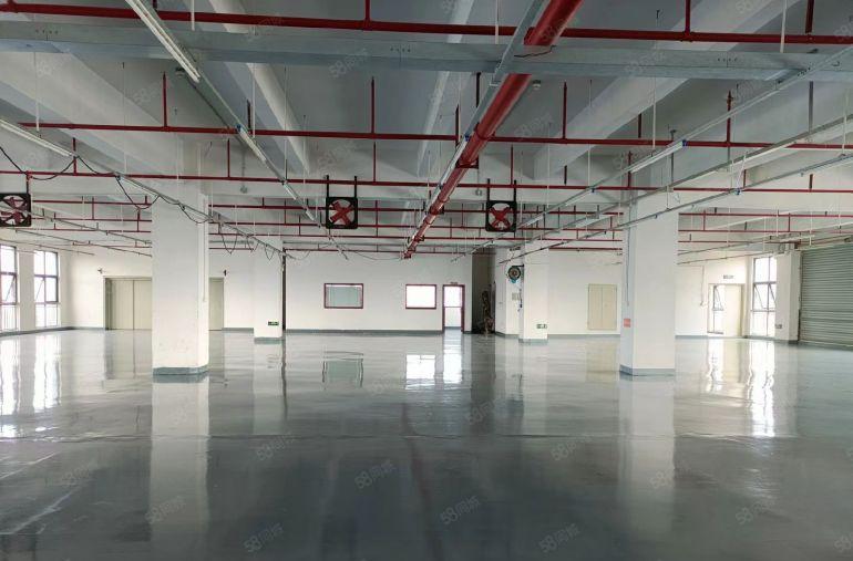 厚街桥头新出1200平方原房东厂房低价出租水电齐全精装修