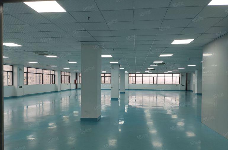 厚街陈屋新空出楼上整层1500平精装修带环评工业厂房出租