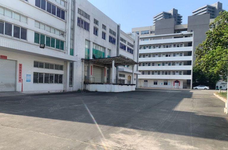 厚街新出独门独院5000平方原房东带红本精装修厂房出租可分租