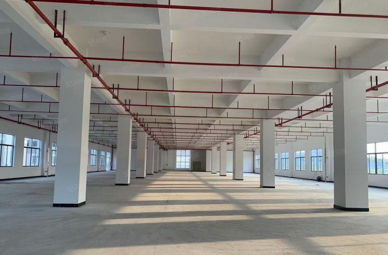 厚街开发商实际面积15块含税含管理费，厂房免租6个月