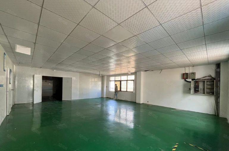 塘厦清湖头新出独院无尘车间厂房仓库800平，无转让费低价出租