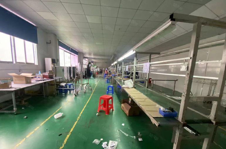 塘厦龙背岭原房东直租标准3楼600平方，面积实在，价格实惠！