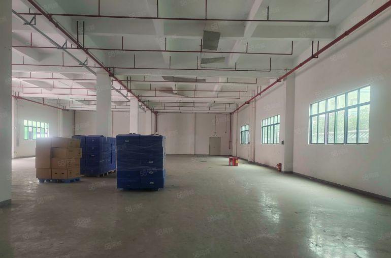 东莞塘厦石鼓原房东空置1楼1200平方米实际面积出租