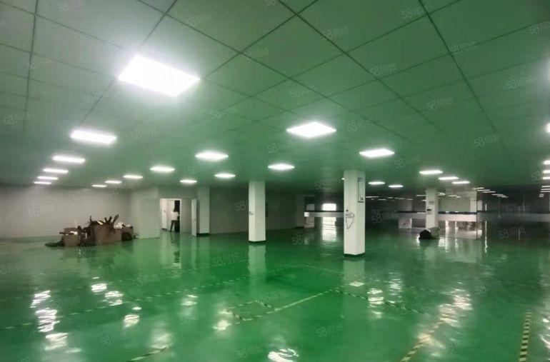 塘厦科苑城二楼电子电池装修厂房出租1150平米