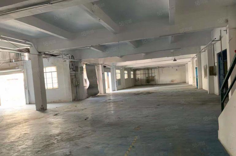 塘厦经典独院三层厂房3850平实际面积出租，靠路边，原房东