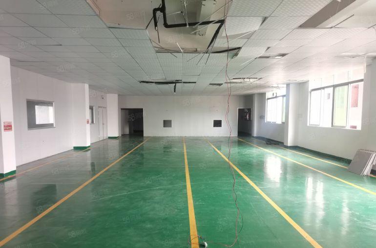 18元距凤岗观澜平湖5公里位于塘厦原房小独院4500平可分租