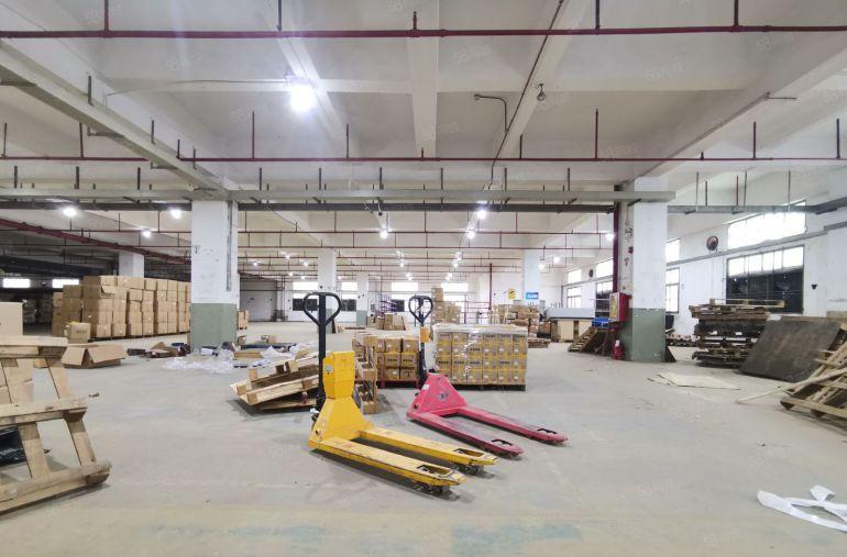 塘厦独院二楼整层5400平，带卸货平台 物流仓库厂房低价出租