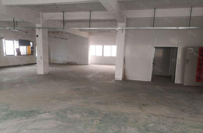 塘厦龙背岭三楼标准厂房低价出租，工业园区空地大好停车交通方便