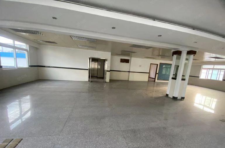 塘厦四村原房东直租标准3楼350平方，低价出租，现成豪华装修