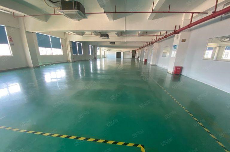 原房东直租标准3楼2680平方！无公摊！地坪漆精装修