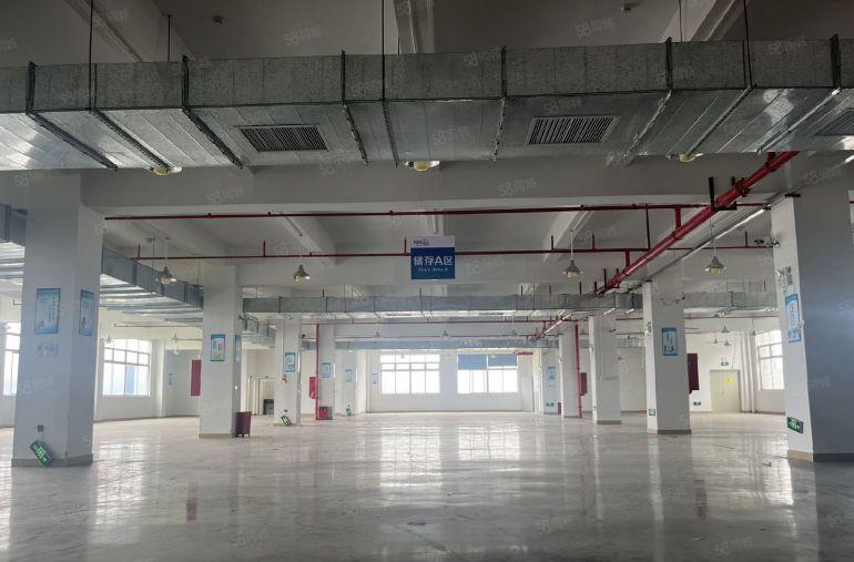 塘厦横塘新空标准二楼厂房1200平带装修低价出租，大货梯上下