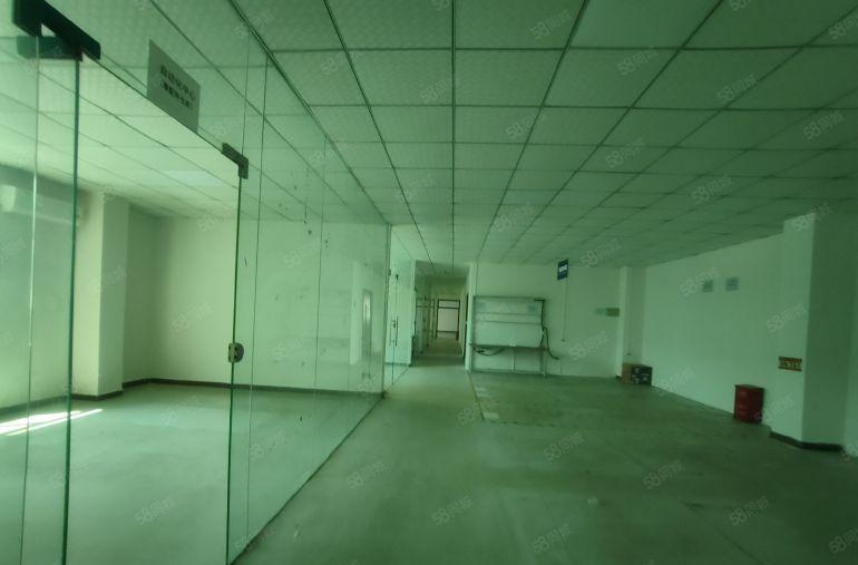 塘厦大坪工业区2000平方原房东仓库厂房出租500平方起分租