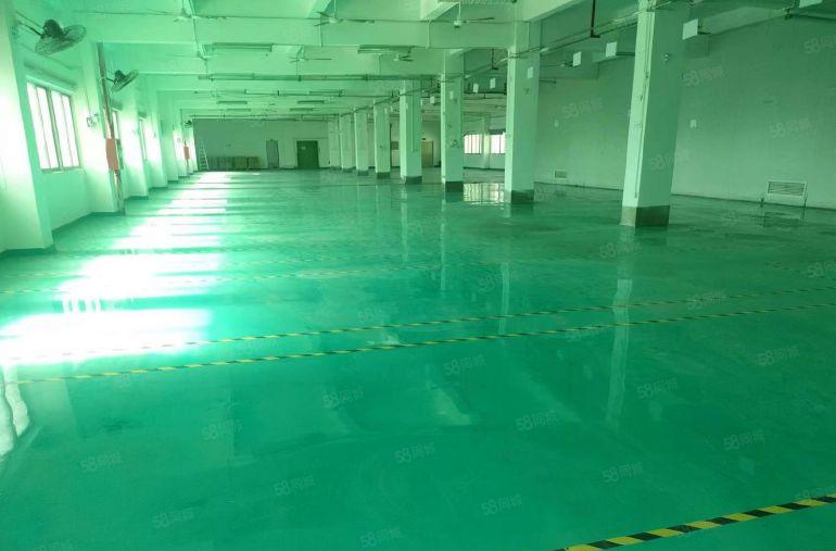 塘厦新出莆心湖楼上1500平方厂房，带现成地坪漆办公室