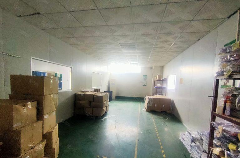 原房东 塘厦一楼500平精装修水电办公室厂房出租 拎包入驻